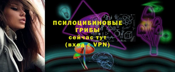 таблы Няндома