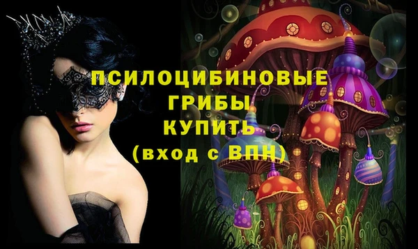 таблы Няндома